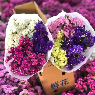 云南勿忘我滿天星干花花束 永恒之美，裝點生活